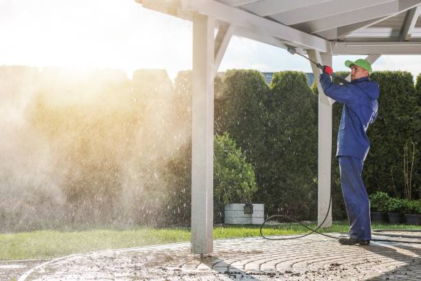 Best Sidewalk and Walkway Cleaning  in South San Gabriel, CA